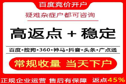 百度广告竞价策略详解：某电商平台的成功案例